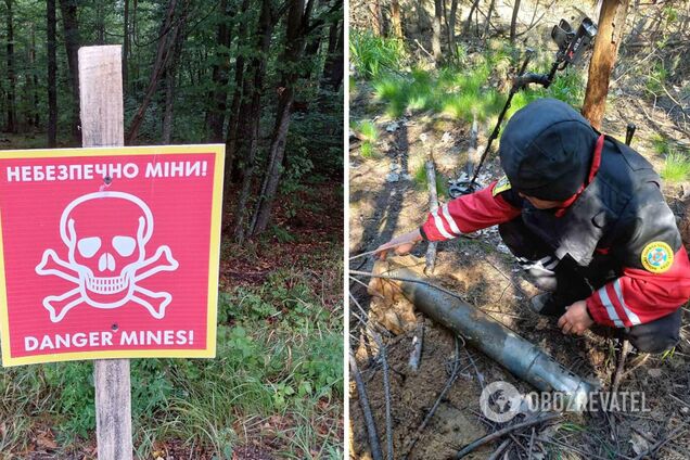 Небезпечні предмети знайшли під час обстеження лісу