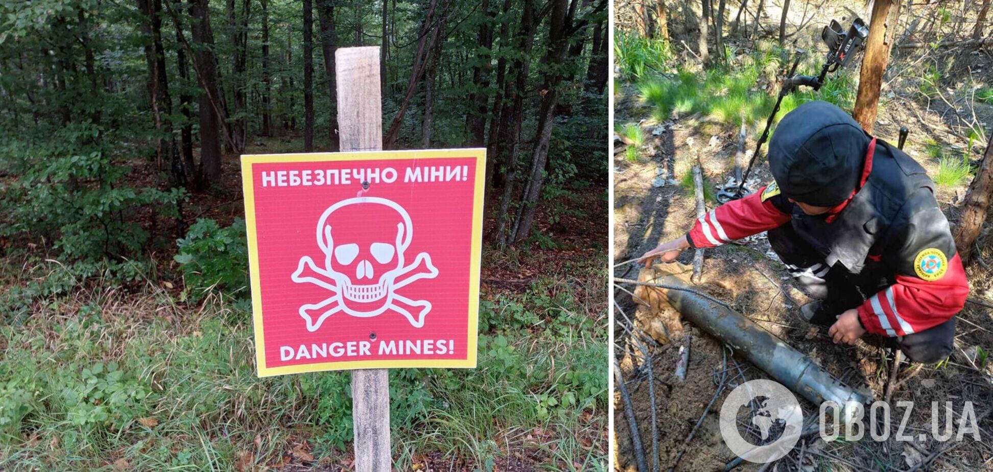 Опасные предметы обнаружили во время обследования леса