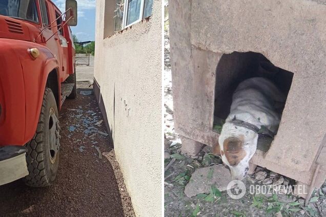 Оккупанты ударили по пожарной части на Запорожье: погиб живший там пес. Фото