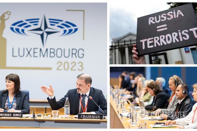 Парламентская ассамблея НАТО осудила рашизм и включила этот термин в финальную резолюцию: подробности