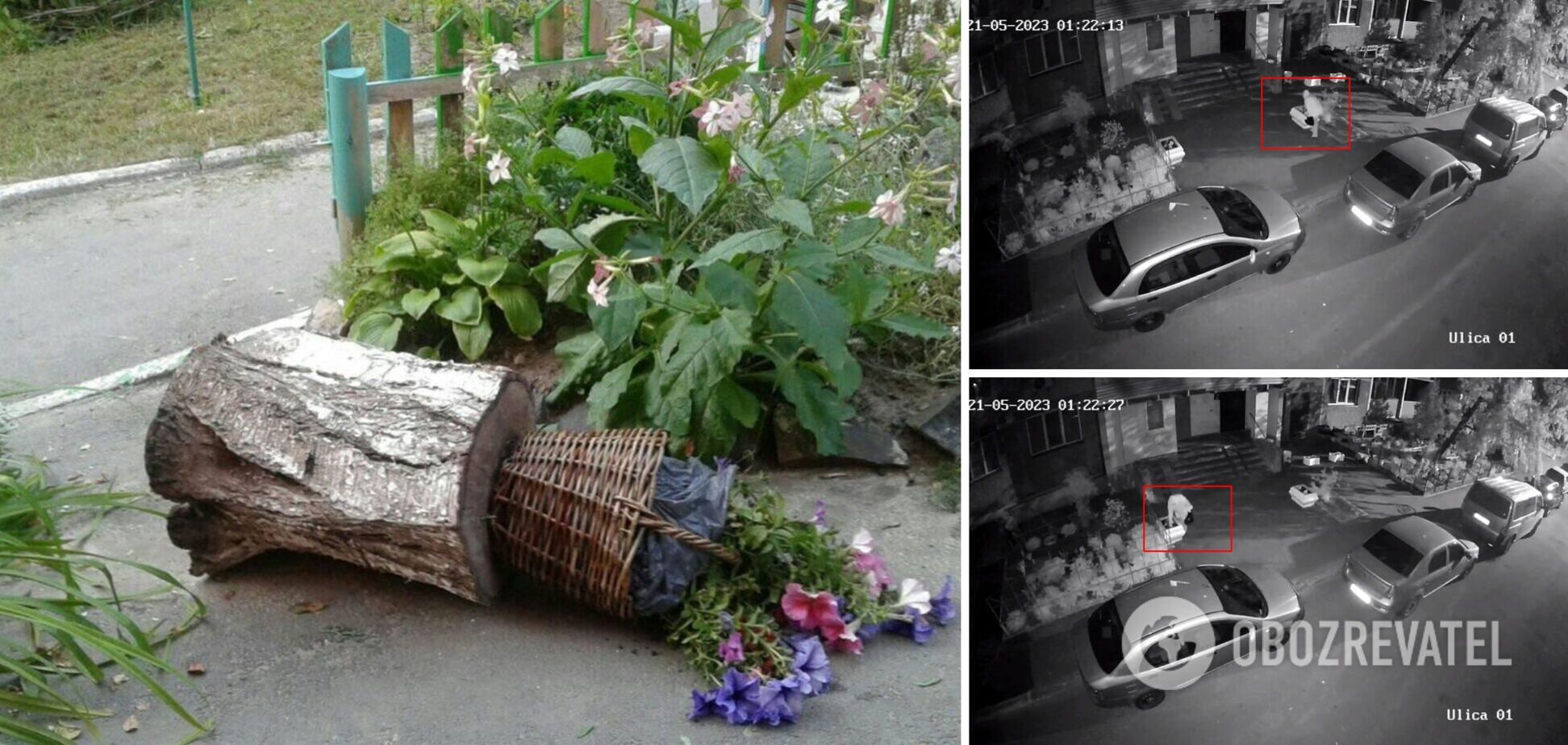 Женщина крала цветы во время комендантского часа.