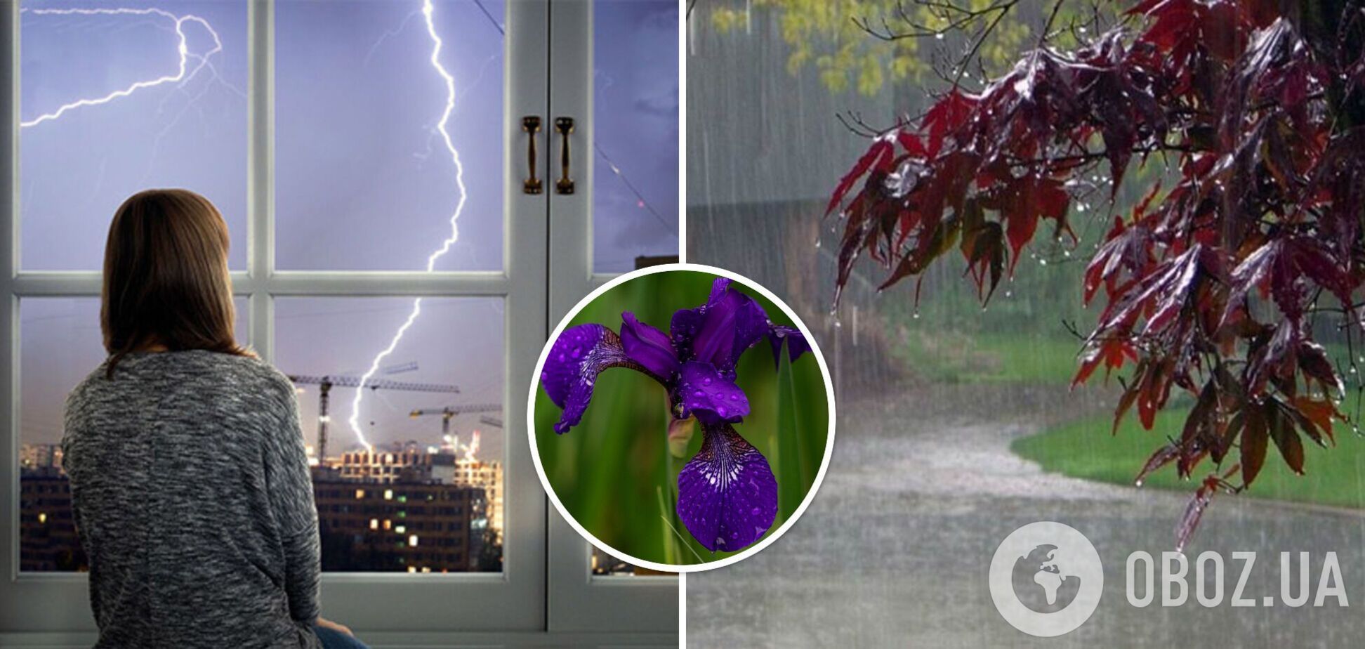 Украину накроют грозы: в каких областях объявлен первый уровень опасности