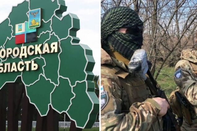 'Доказательства в студию!' У Шойгу похвастались полной 'зачисткой' Белгородской области от 'ДРГ', но не поверили даже россияне