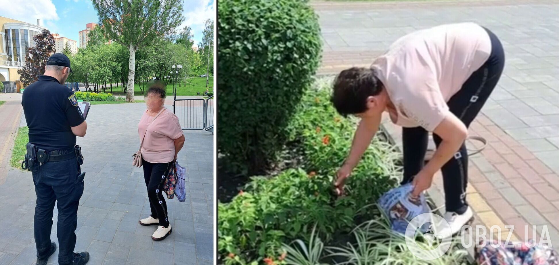 Жінку змусили повернути квіти на місце