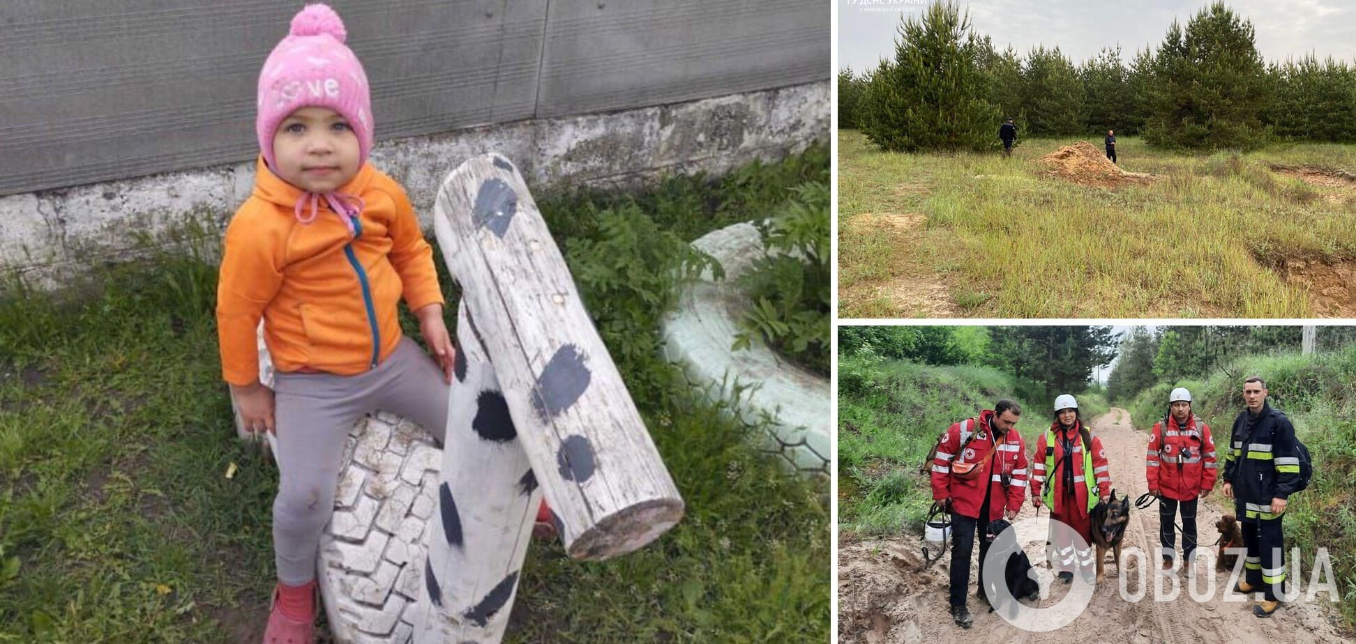 Была во дворе, а потом исчезла: в Харьковской области продолжаются поиски 2-летней девочки, привлечены десятки спасателей. Фото