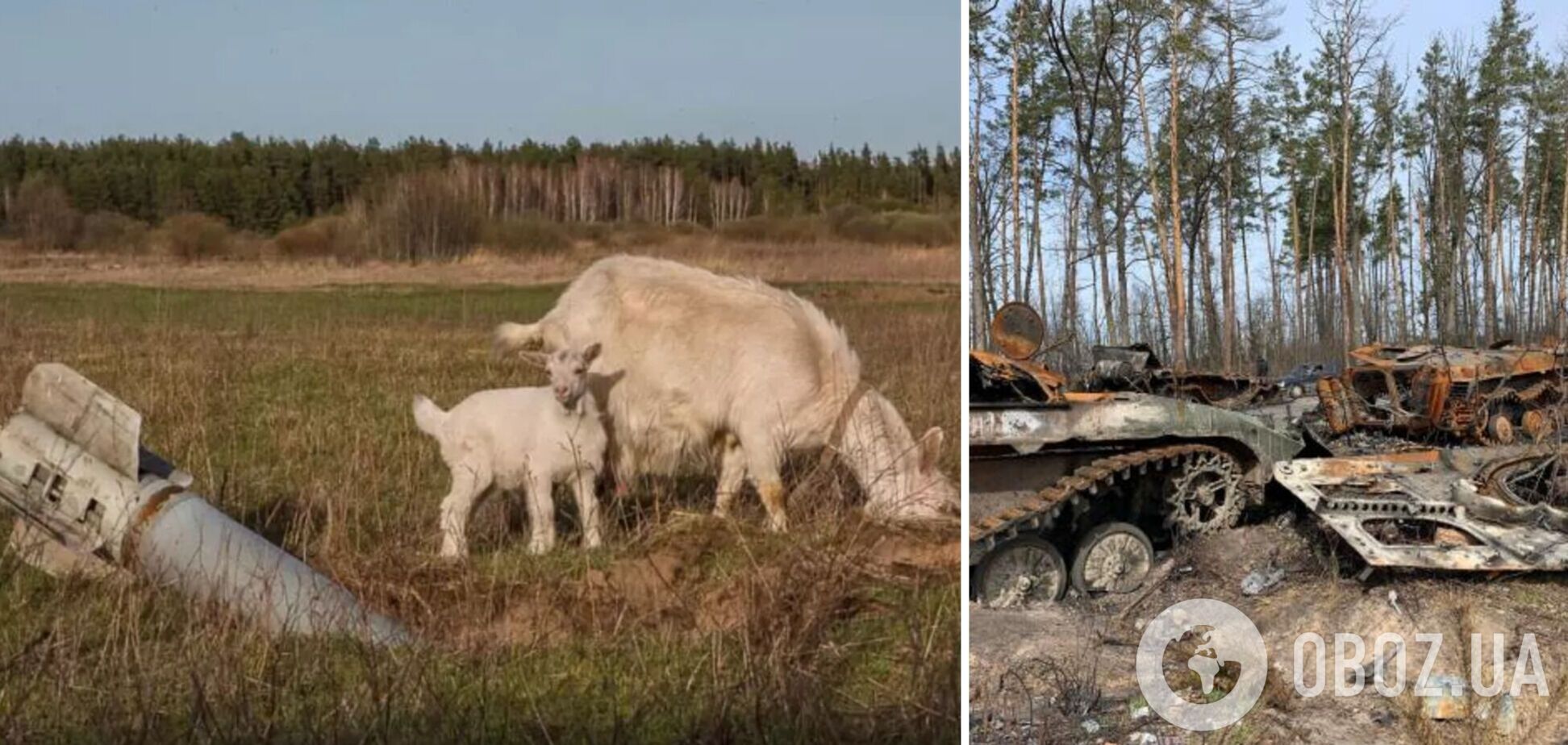 Екоцид як міжнародний злочин російської орди країни-терориста проти довкілля України