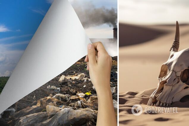 Масове вимирання на Землі: вчені заявили про тривожний прогноз