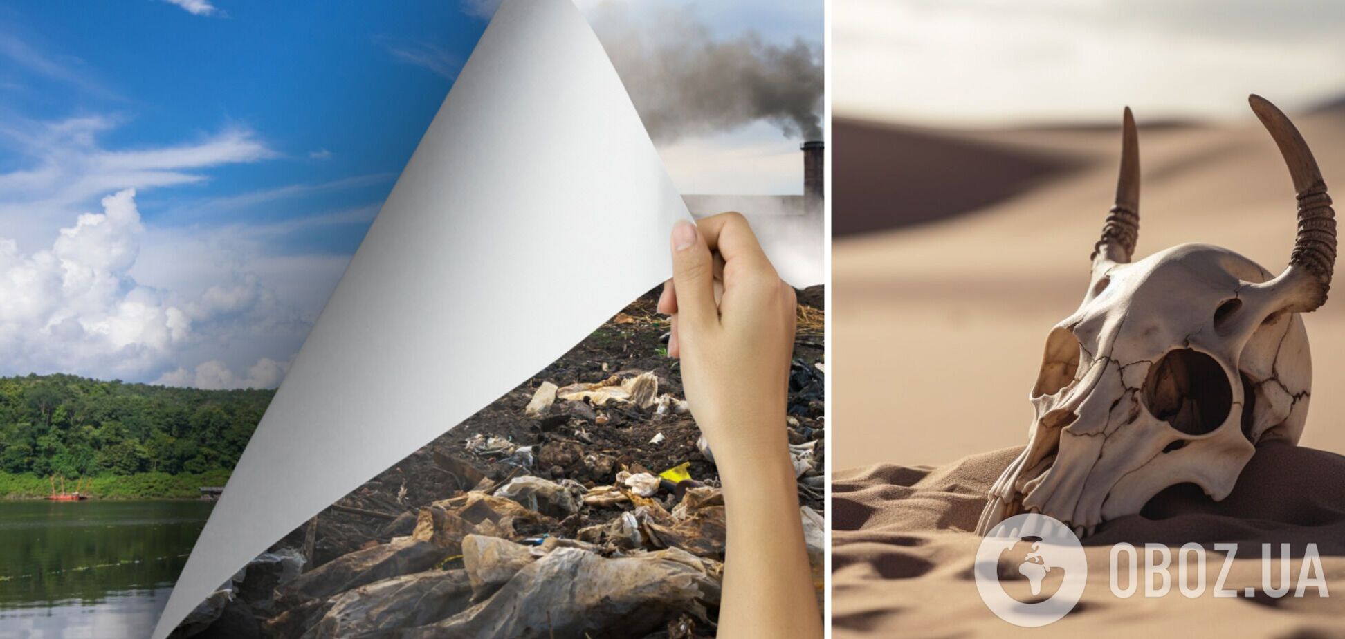 Масове вимирання на Землі: вчені заявили про тривожний прогноз