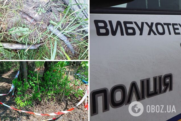 Жінка знайшла боєприпаси на городі