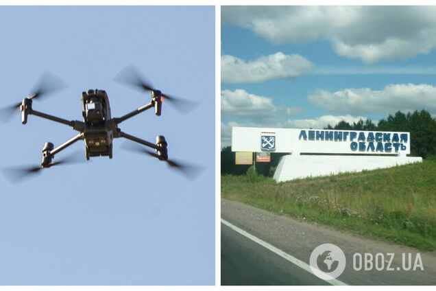 Россиян напугал неизвестный беспилотник со стороны Эстонии