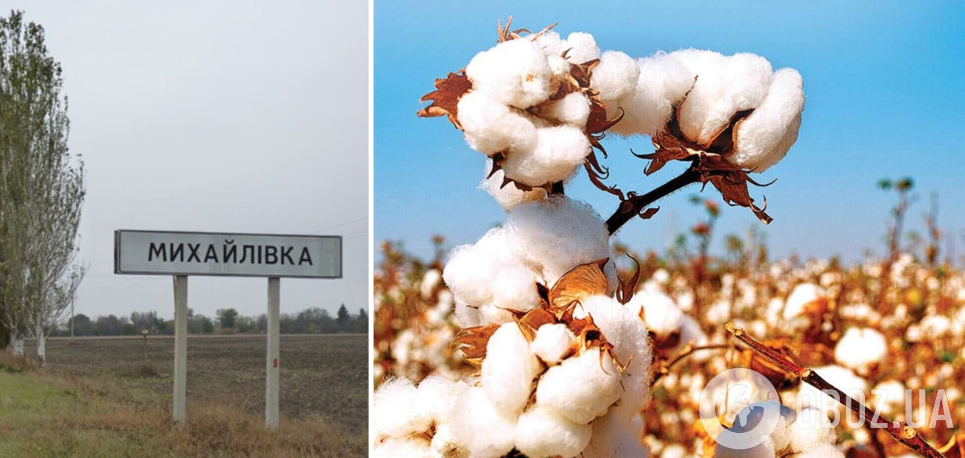 'Бавовна' у Михайлівці