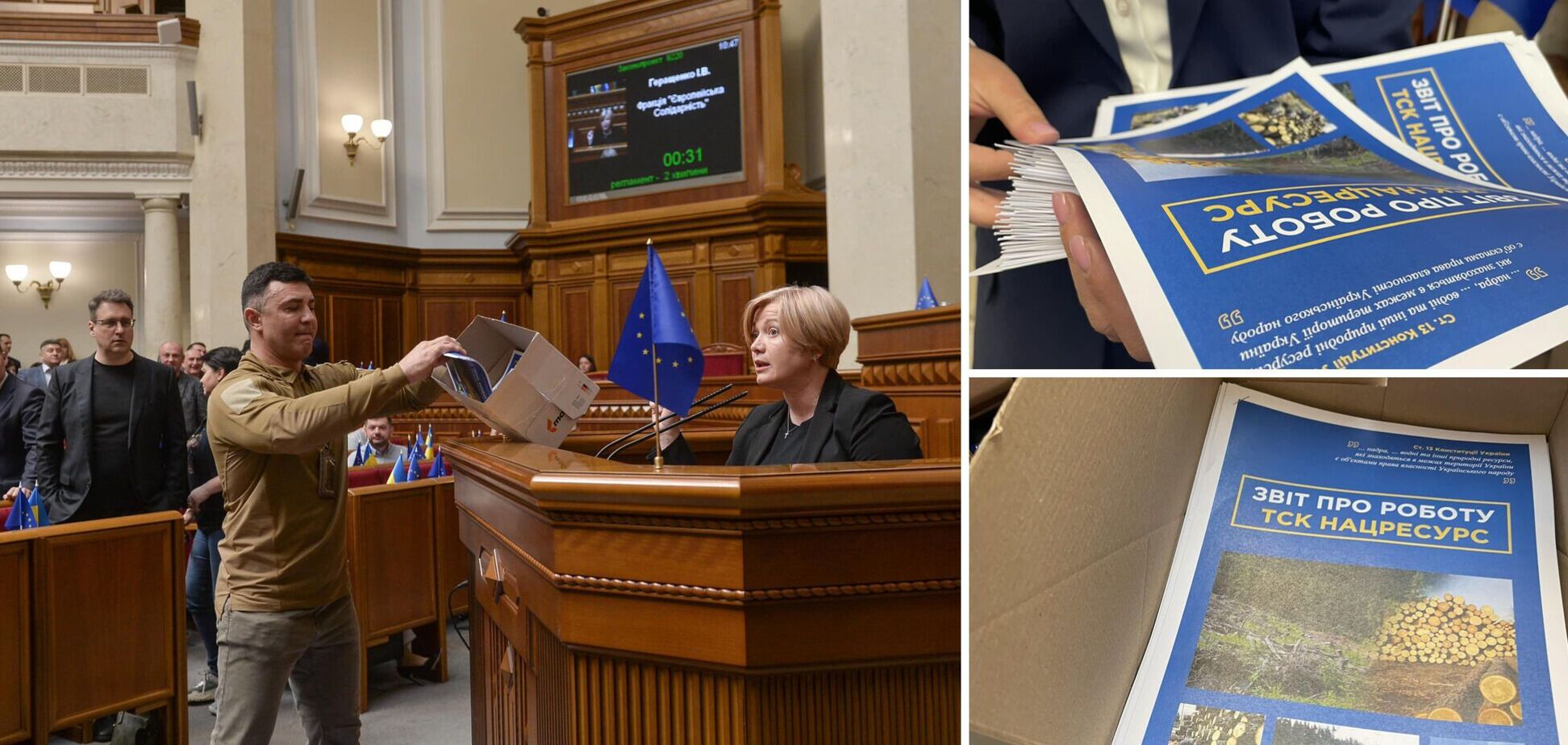 'На бумагу для отчета ушло 2 га леса': Геращенко раскритиковала работу ВСК по незаконной вырубке лесов. Фото