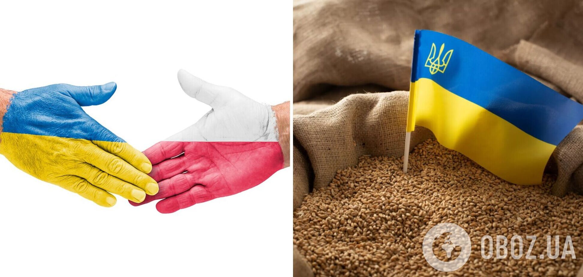 Польша отменила односторонний запрет на импорт сельскохозяйственной продукции из Украины