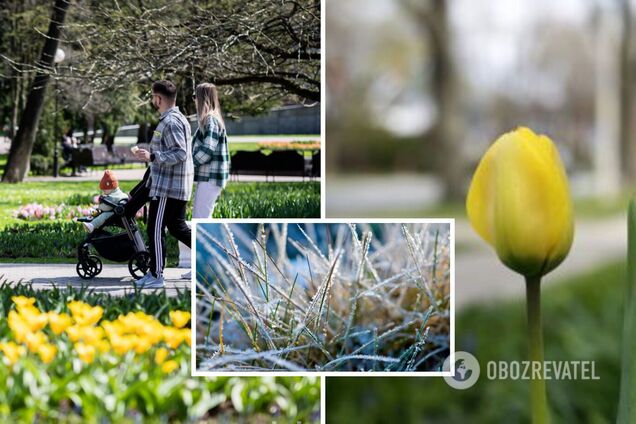 В Украине ночью ударят заморозки