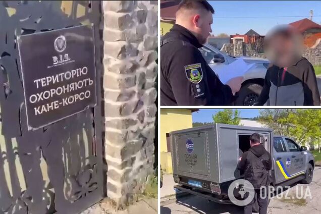 Владелец вывел собак на улицу без намордников