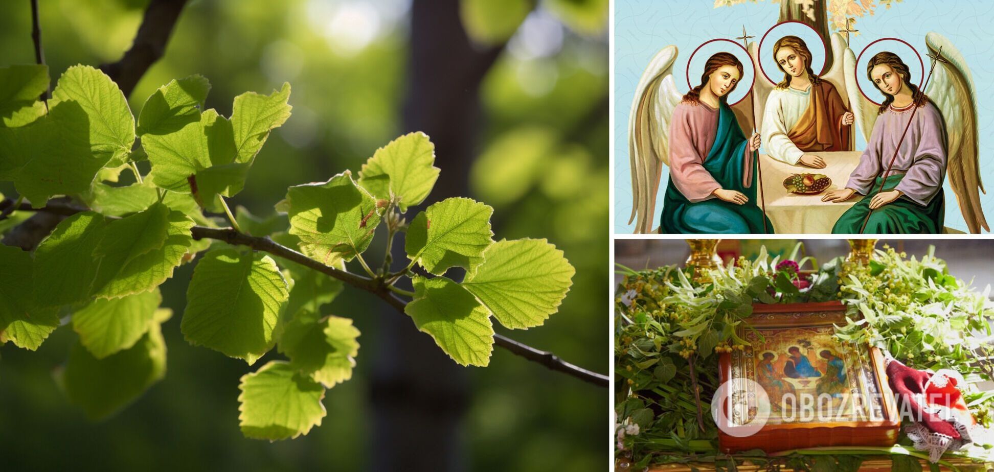 Зелені святки-2023: що категорично не можна робити на Трійцю