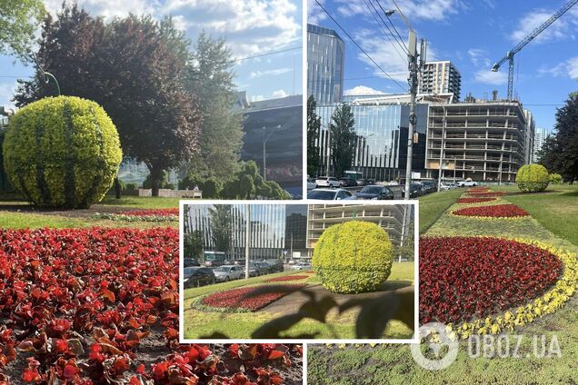 Рядом с ягодой высадили клумбу в виде арбузного ломтика.