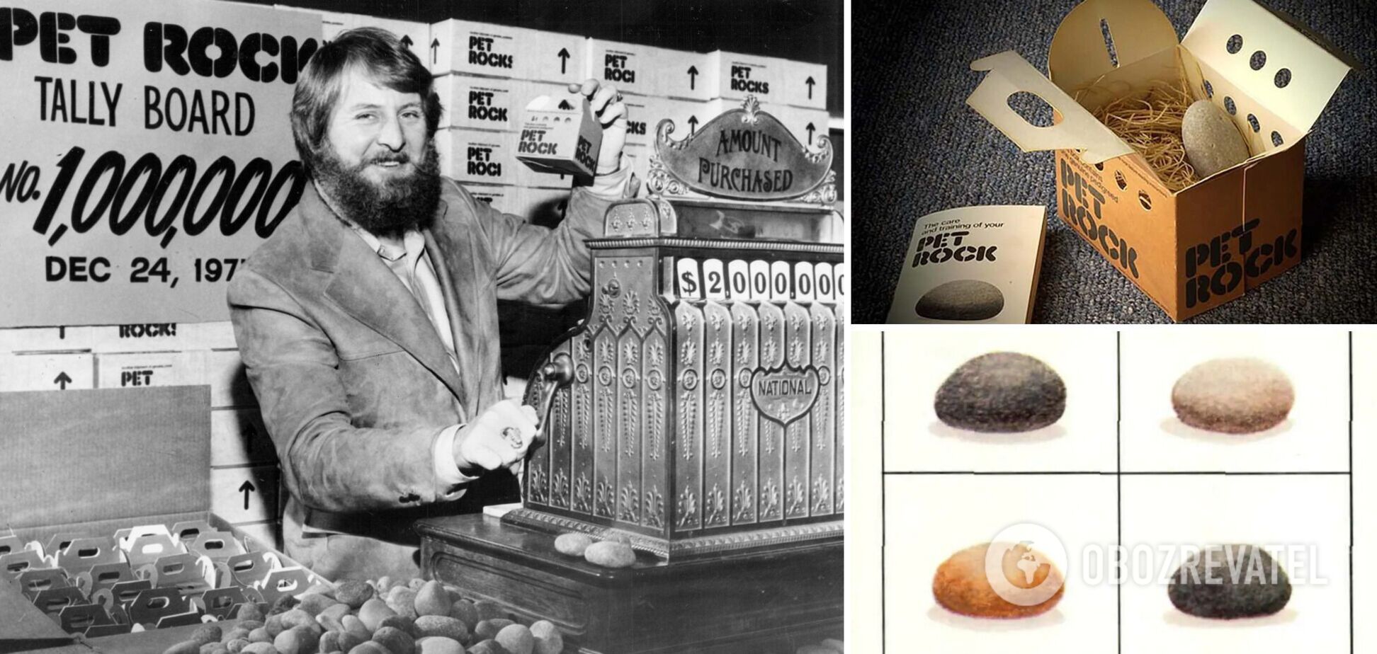 Далі вже ніколи не зміг повторити успіх Pet Rock