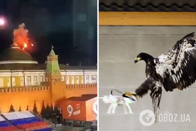 'Потрібно подумати про захист': у Держдумі РФ пропонують створити орлів-перехоплювачів для боротьби з безпілотниками