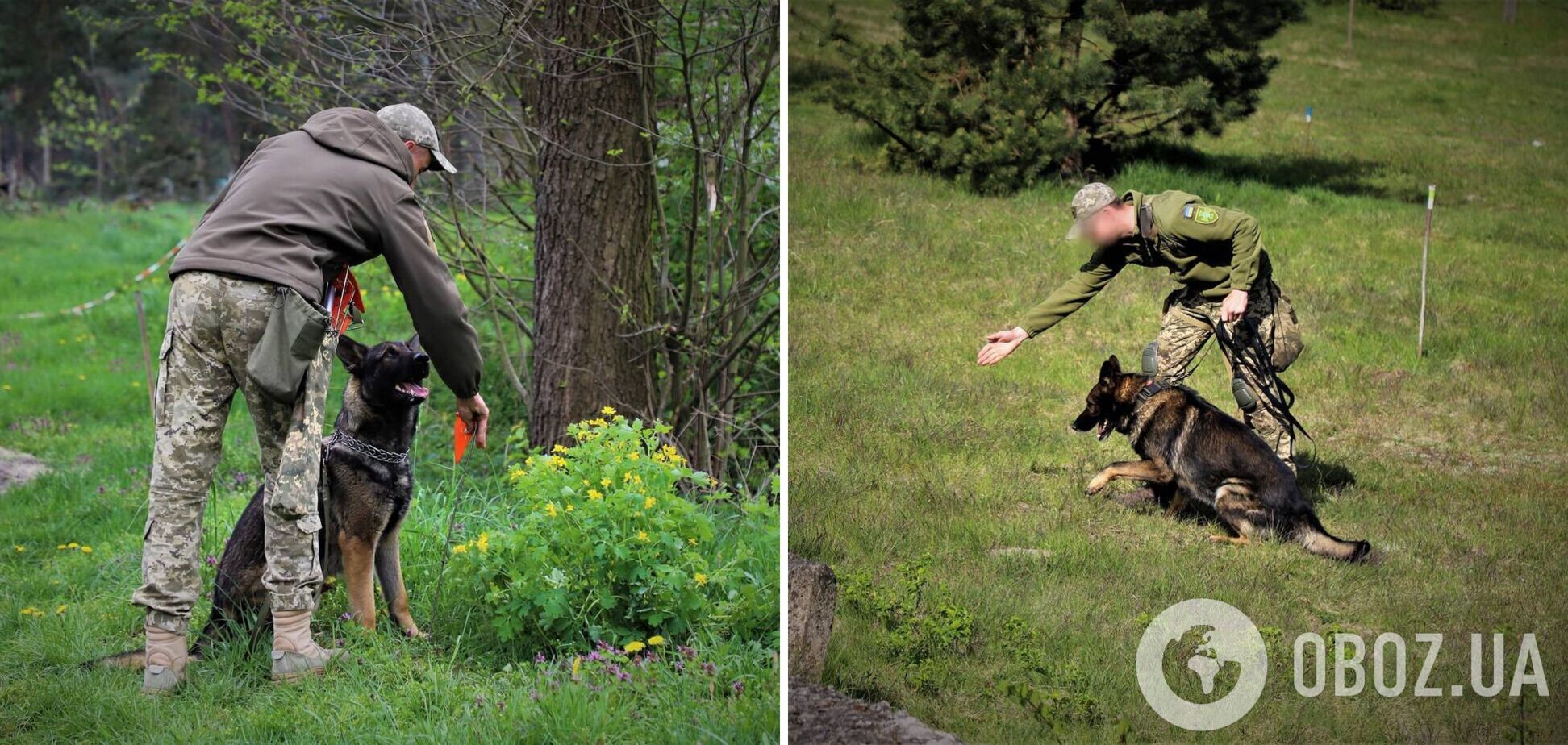 'Мінно-розшукові функції в дії': прикордонники показали, як службові собаки допомагають розміновувати територію. Фото
