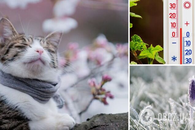 Без осадков, но с заморозками: синоптики дали прогноз погоды на выходные, 6-7 мая