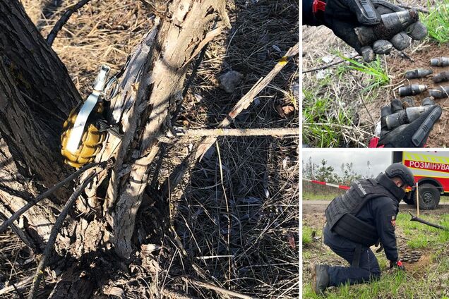 Сколько лет мины остаются опасными: в ГСЧС объяснили украинцам