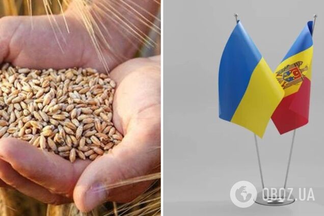 В ответ на недружественные действия Укрна готовит запрет всего импорта из Молдовы