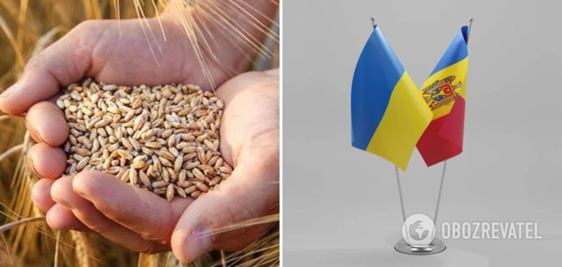 В Молдові передумали обмежувати імпорт українського зерна