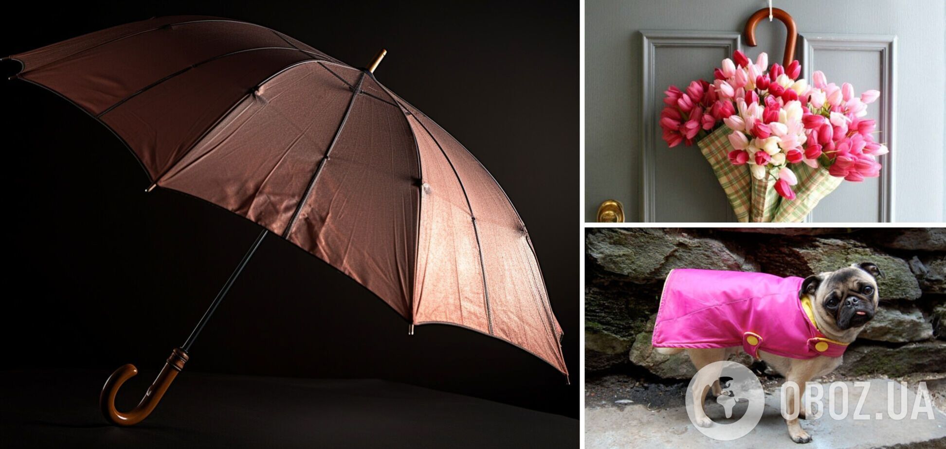 Що можна зробити зі старої парасольки: оригінальні ідеї