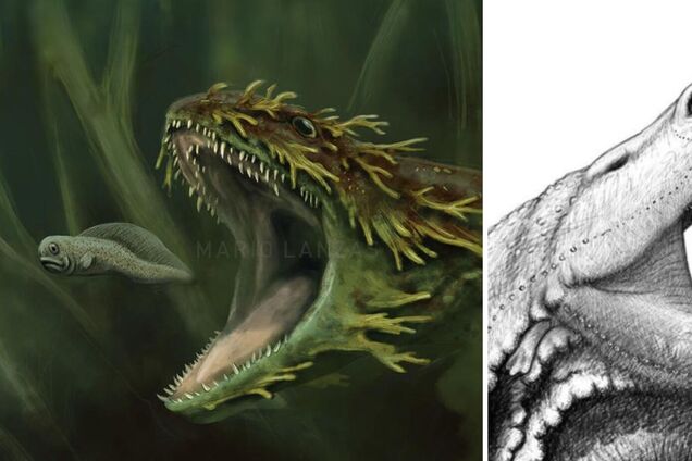 'Головастик из ада', наводивший ужас на Земле задолго до динозавров, впервые показал свою морду