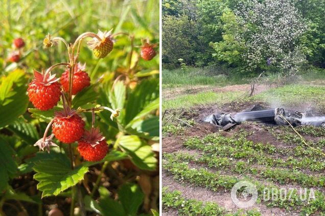 Обломки ракеты упали на огород