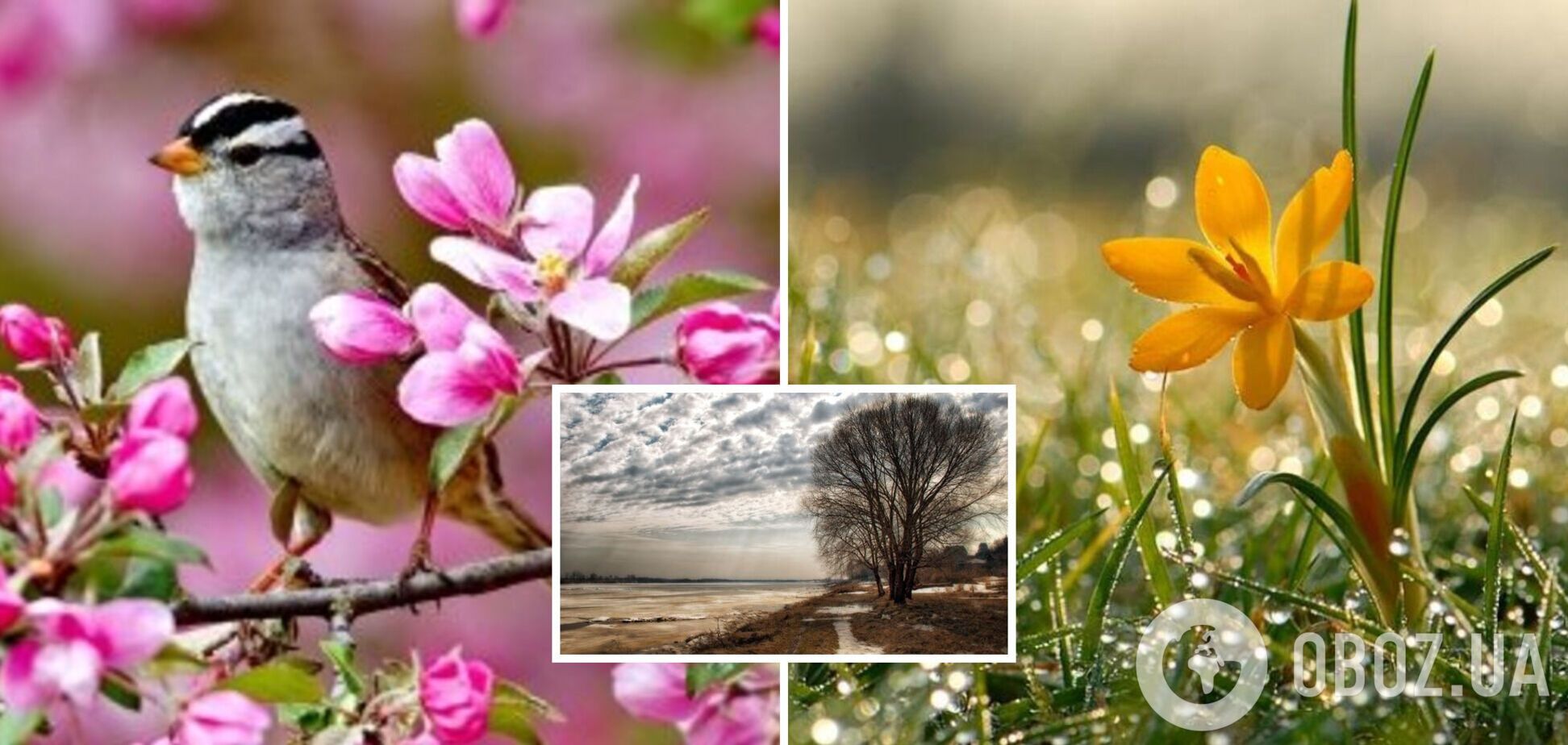 Потепление пока не ожидается: синоптики дали прогноз погоды на среду, 10 мая