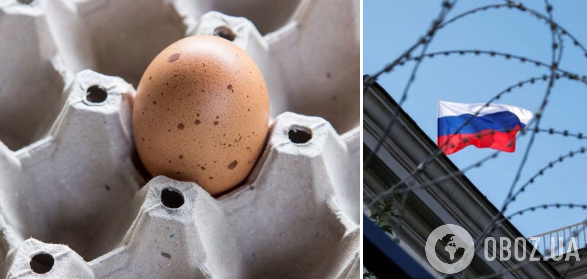 На Чукотці дефіцит курячих яєць