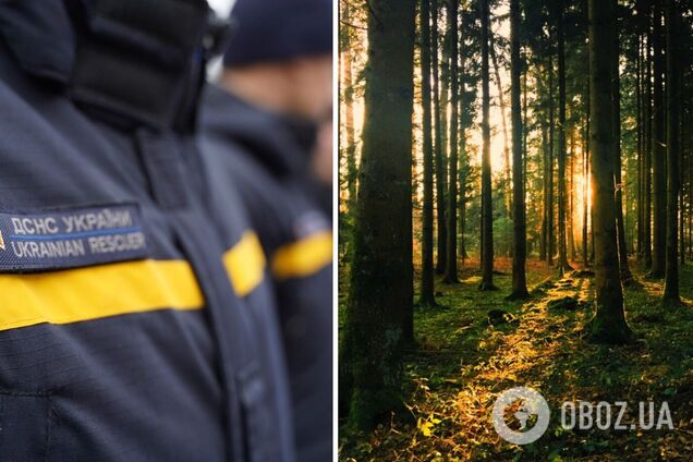 ГСЧС запретила посещать леса в ряде регионов Украины: кого это касается