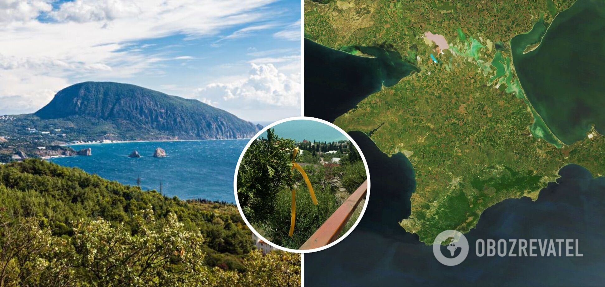 У Ялті чекають на ЗСУ