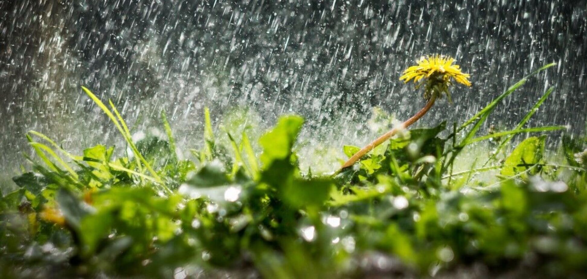 Синоптики прогнозують опади в регіоні