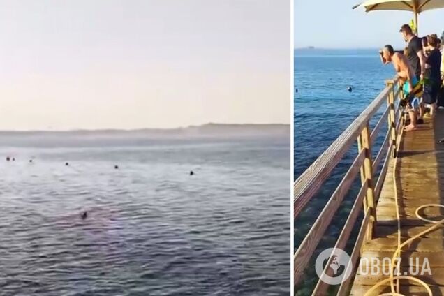 Украинцы не должны разбираться в сортах россиян. Наша задача – выжить