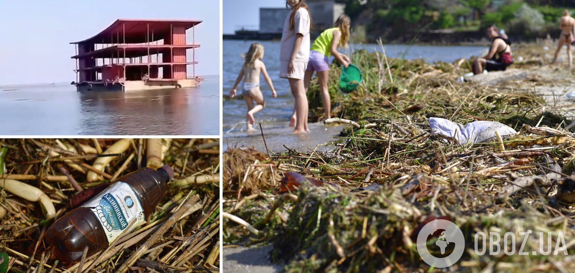 Вода стала пресной и квакают лягушки: эколог рассказал, что происходит в Черном море у Одессы после подрыва ГЭС