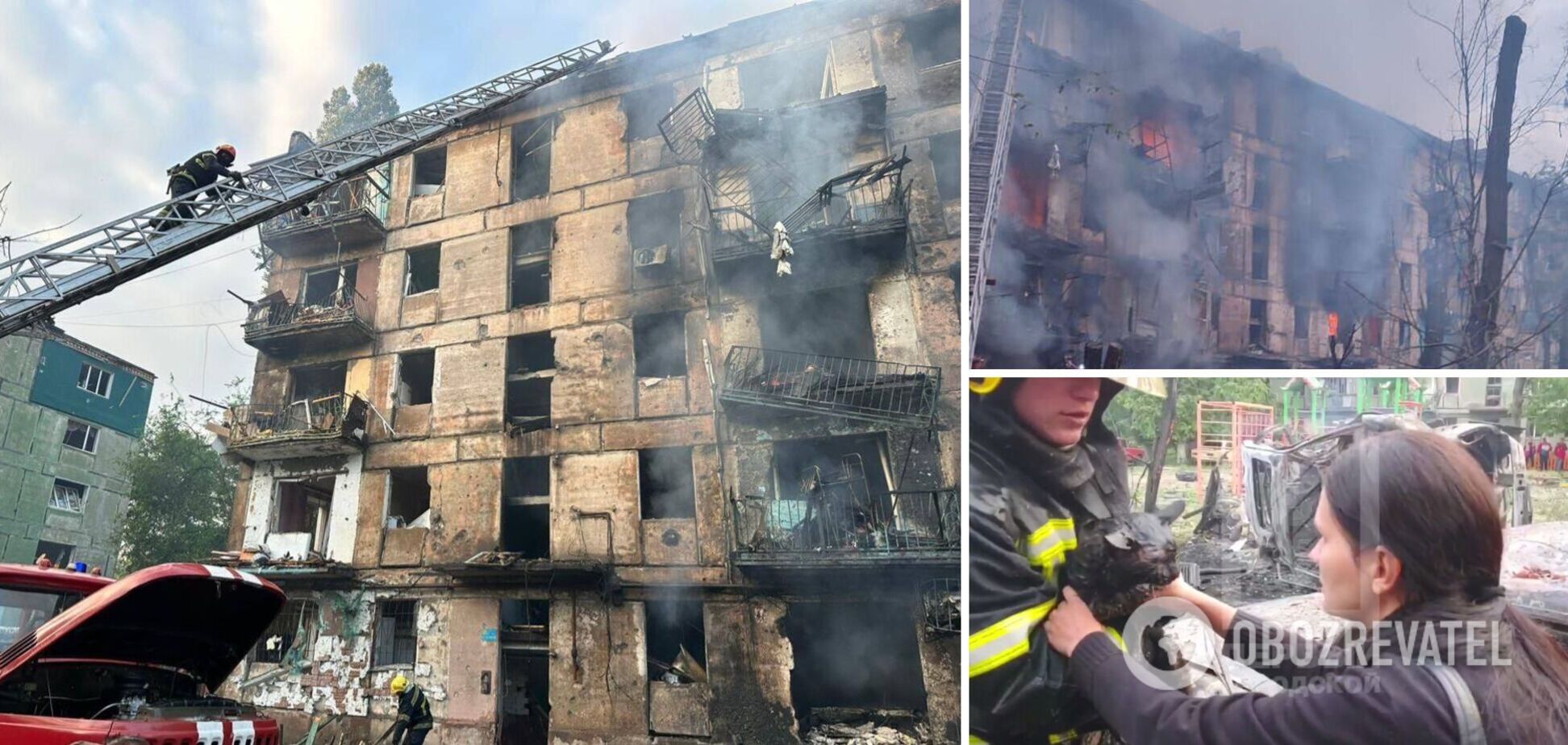 В Кривом Роге в многоэтажке, в которую попали оккупанты, спасли кота. Видео