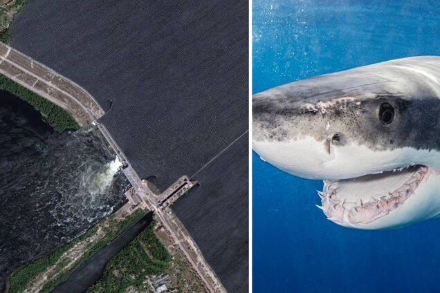 Росіяни осягли остаточного 'розлюднення' в очах Заходу