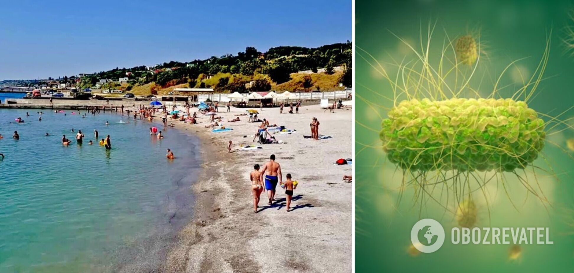 Біля узбережжя Одеси виявили сальмонелу та кишкову інфекцію: в ОВА закликали не ігнорувати заходи безпеки