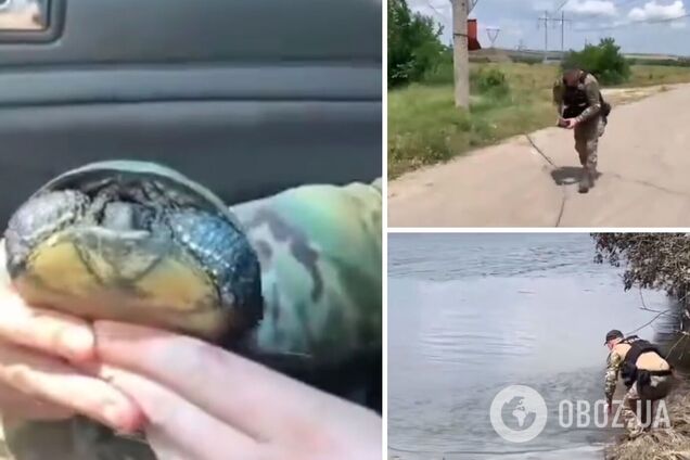 Операція 'Евакуація': поліцейський на Херсонщині врятував черепаху. Зворушливе відео
