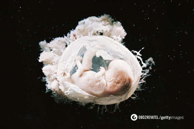 В Китае рекорд беременностей с эмбрионами с перевернутыми органами: ученые не понимают, что происходит
