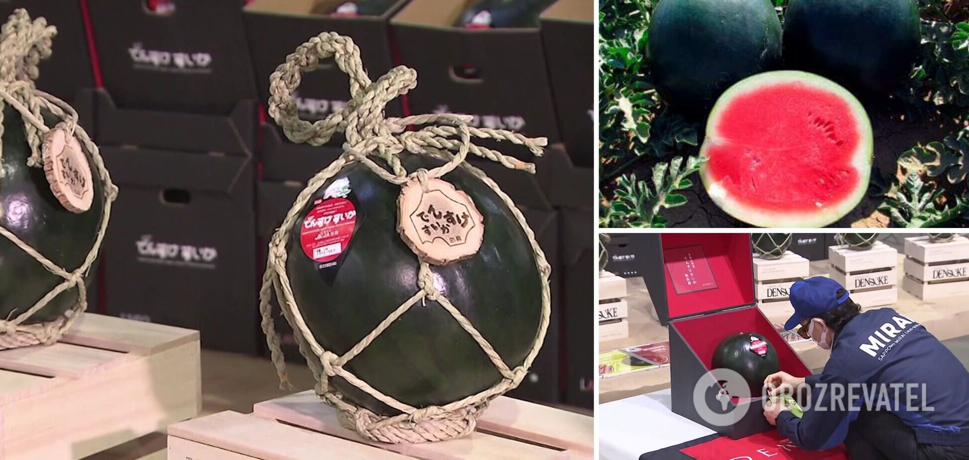 Чому кавуни Денсуке такі дорогі