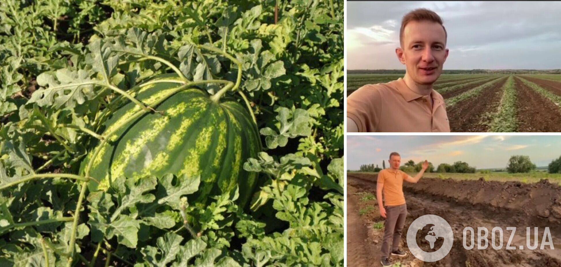 На Херсонщині фермер дві доби боровся з повінню і врятував урожай. Відео