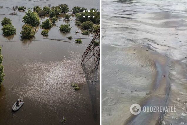 Из-за подрыва Каховской ГЭС затоплены 32 завода, АЗС, теплоэлектростанции и склады – Greenpeace