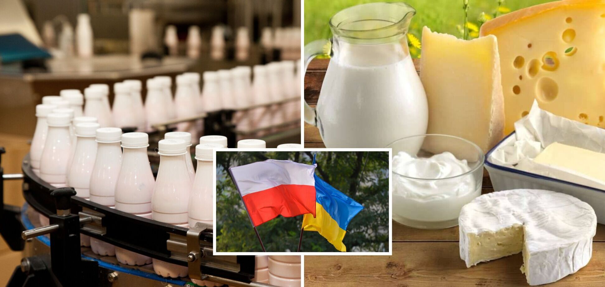 Молочні об'єднання України та Польщі закликали уряди своїх країн сприяти вільній торгівлі