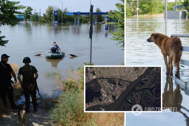 Велика вода відступає: який вигляд зараз має район Корабел у Херсоні. Супутникові фото