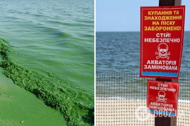 З маленькими дітьми: в Одесі люди масово відпочивають на пляжах, попри 'зелене' море та мінну небезпеку