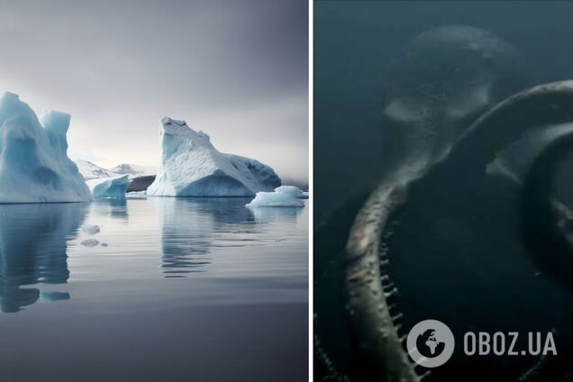 Знахідка у ДНК морської істоти натякає на сумну долю для людства
